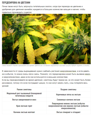 1644239770129.png 1644239770129.png