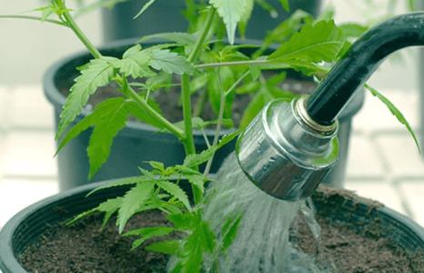 1644331875495.png 1644331875495.png