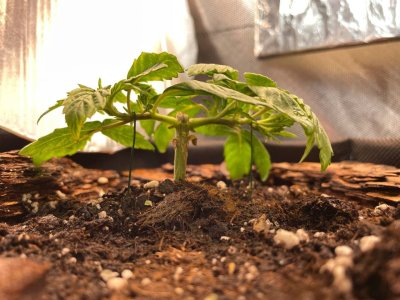 photo_2022-02-08_21-16-02.jpg photo_2022-02-08_21-16-02.jpg