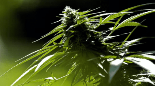 1644498783895.png 1644498783895.png