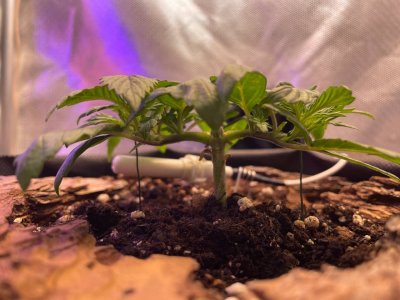 09.02.2022.jpg 09.02.2022.jpg