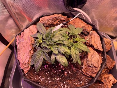 11.02.2022.jpg 11.02.2022.jpg