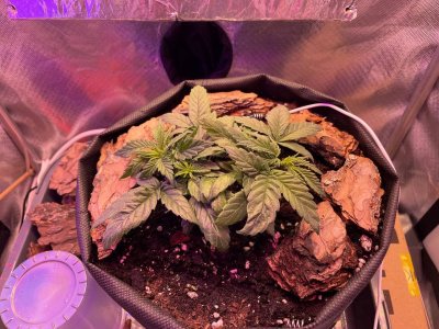 12.02.2022.jpg 12.02.2022.jpg