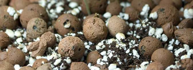 1645016405605.png 1645016405605.png