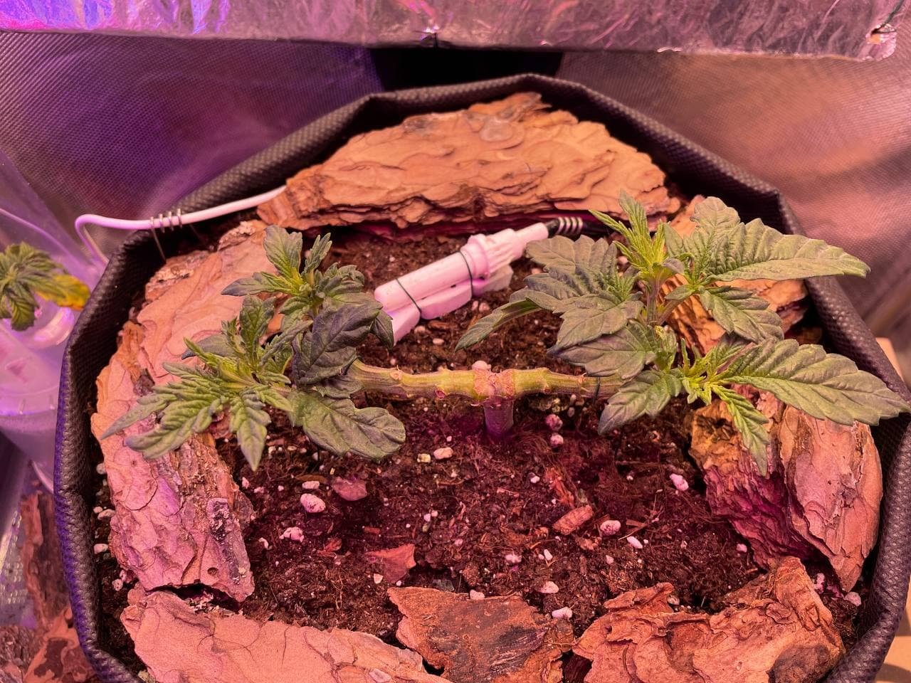 18.02.2022(2).jpg 18.02.2022(2).jpg