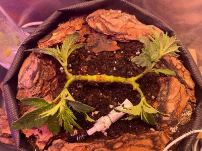 19.02.2022.jpg 19.02.2022.jpg