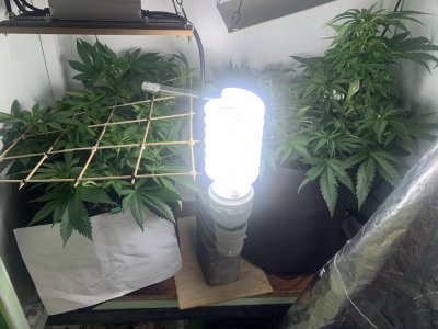 IMG_0462.jpeg IMG_0462.jpeg