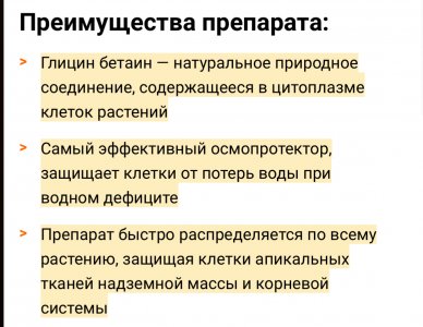 IMG_0466.jpeg IMG_0466.jpeg