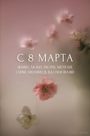 IMG_0671.jpeg IMG_0671.jpeg