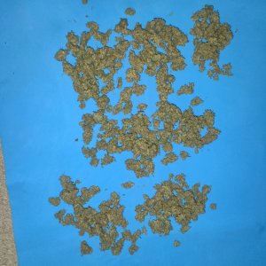 IMG20240309164753.jpg IMG20240309164753.jpg