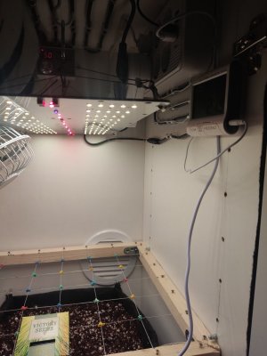 IMG_20240319_001006.jpg IMG_20240319_001006.jpg