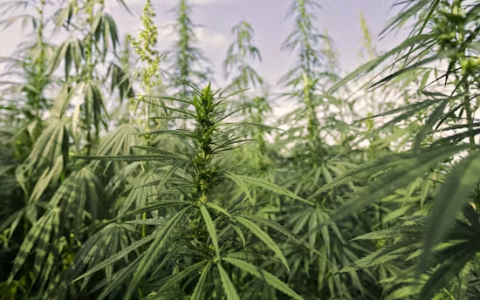 1710958911757.png 1710958911757.png