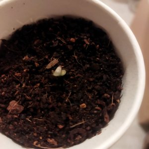 asdasdas.jpg asdasdas.jpg