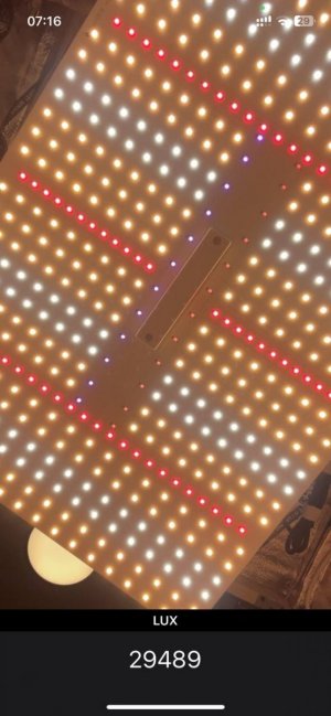 Замер 1. ak 47.jpg