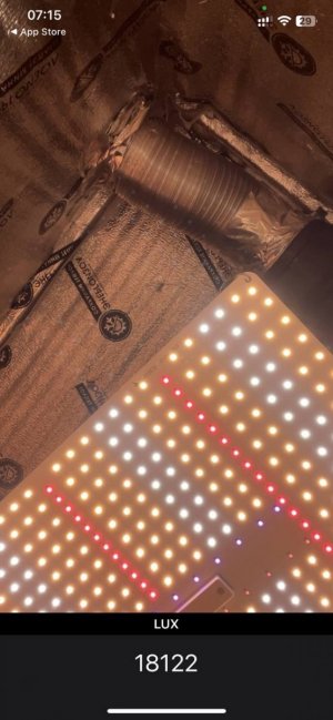 Замер 1. chronic ryder.jpg