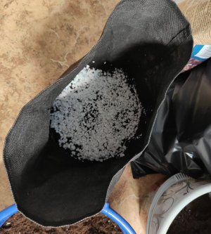 IMG_20240324_144852.jpg IMG_20240324_144852.jpg