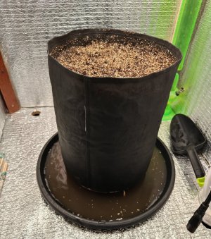 IMG_20240324_144708.jpg IMG_20240324_144708.jpg