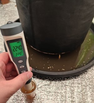 IMG_20240324_144723.jpg IMG_20240324_144723.jpg