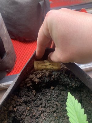 F37A3E62-CF87-4EE4-900B-F8122EE83286.jpeg F37A3E62-CF87-4EE4-900B-F8122EE83286.jpeg