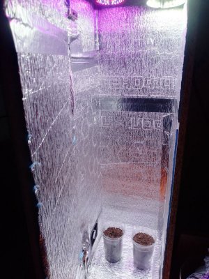 photo_2024-04-01_18-04-09.jpg photo_2024-04-01_18-04-09.jpg