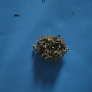 IMG20240402080240.jpg IMG20240402080240.jpg