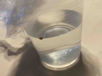 cleaned_2.jpeg cleaned_2.jpeg