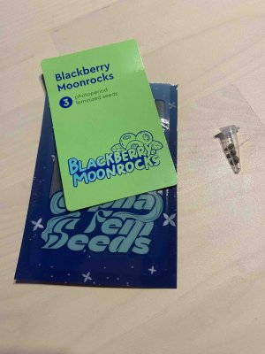 cleaned_3.jpeg cleaned_3.jpeg