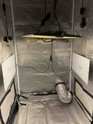 cleaned_4.jpeg cleaned_4.jpeg