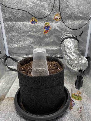 cleaned_5.jpg cleaned_5.jpg