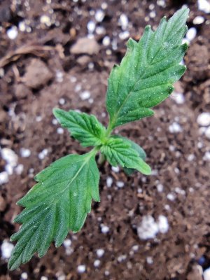 1000017170.jpg 1000017170.jpg