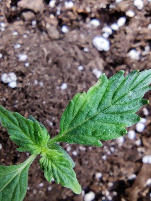 1000017173.jpg 1000017173.jpg