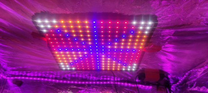 WhatsApp Image 2024-04-06 at 11.26.10 (3).jpeg WhatsApp Image 2024-04-06 at 11.26.10 (3).jpeg