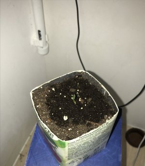 5EB0ED2E-5AA1-4826-AD32-67EEAE5487DE.jpeg 5EB0ED2E-5AA1-4826-AD32-67EEAE5487DE.jpeg