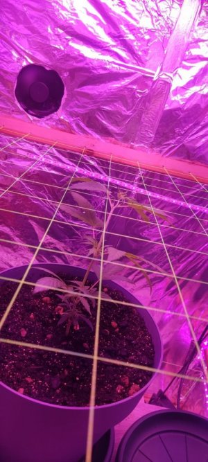 фаыа.jpg фаыа.jpg