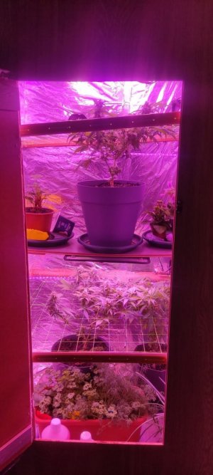 WhatsApp Image 2024-04-07 at 19.51.11.jpeg WhatsApp Image 2024-04-07 at 19.51.11.jpeg