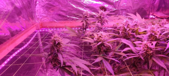 WhatsApp Image 2024-04-07 at 19.51.11 (2).jpeg WhatsApp Image 2024-04-07 at 19.51.11 (2).jpeg