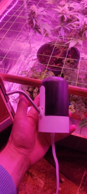 WhatsApp Image 2024-04-07 at 19.51.12.jpeg WhatsApp Image 2024-04-07 at 19.51.12.jpeg