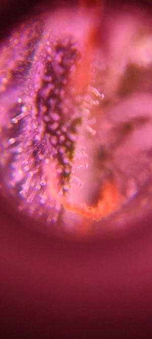 WhatsApp Image 2024-04-07 at 20.01.13.jpeg WhatsApp Image 2024-04-07 at 20.01.13.jpeg