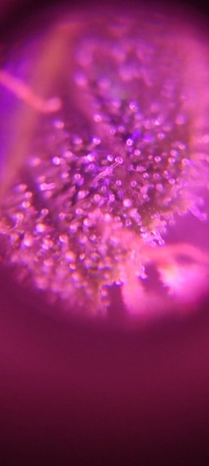 WhatsApp Image 2024-04-07 at 20.01.14.jpeg WhatsApp Image 2024-04-07 at 20.01.14.jpeg