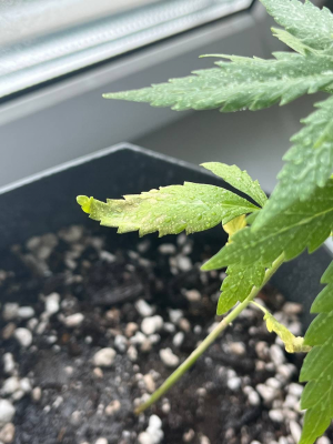 1712605496638.png 1712605496638.png