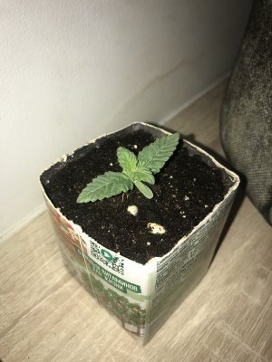 20EF91F8-07AE-4345-9F91-07BE058970D5.jpeg 20EF91F8-07AE-4345-9F91-07BE058970D5.jpeg