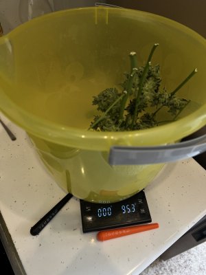 IMG_1840.JPG IMG_1840.JPG