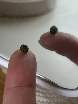 IMG_1842.JPG IMG_1842.JPG