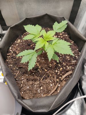 1000017440.jpg 1000017440.jpg