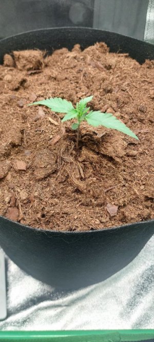 photo_2024-04-15_22-50-51.jpg photo_2024-04-15_22-50-51.jpg