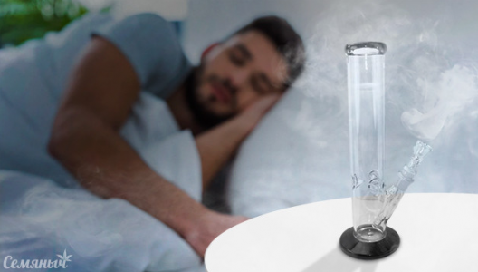 ТОП сорта конопли для сна ТОП сорта конопли для сна