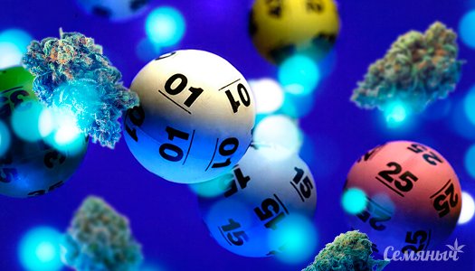 1713436637996.jpeg 1713436637996.jpeg