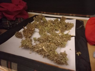 20231229_193309.jpg 20231229_193309.jpg