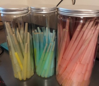 IMG_20240419_235341.jpg IMG_20240419_235341.jpg