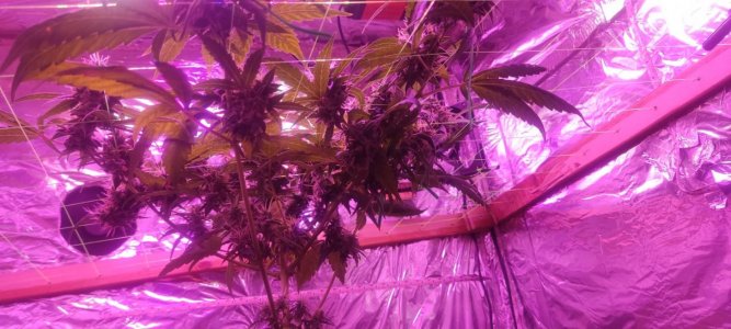 WhatsApp Image 2024-04-20 at 10.05.18 (4).jpeg WhatsApp Image 2024-04-20 at 10.05.18 (4).jpeg